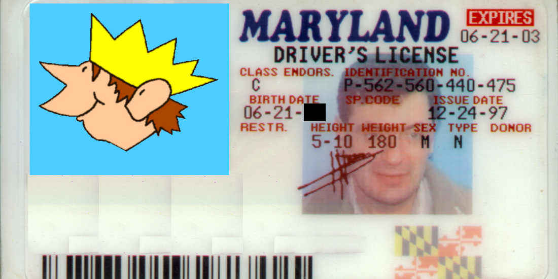 02_drivers_license.jpg